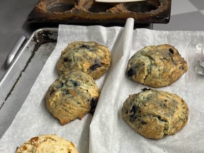 Coffee Haven by Blue Moon Bagel Cafe