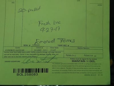 Coffee Holding Co Inc