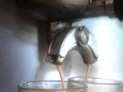 Coffee Hound Downtown