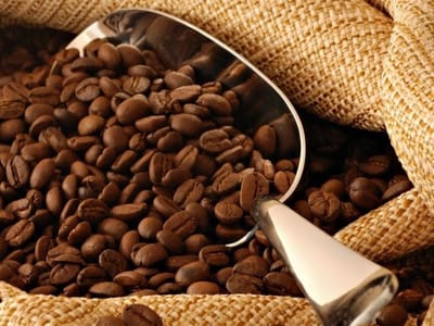 Coffee Mill Roasters