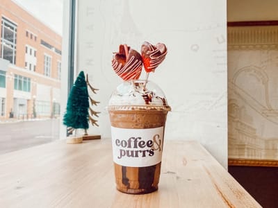 Coffee & Purrs Coffee Shop and Cat Cafe