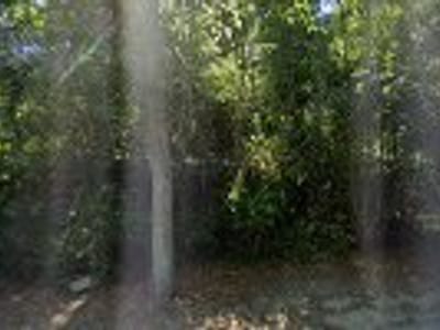 Coffee Roasters of Charleston