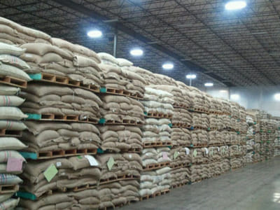 Coffeerunt - Wholesale Coffee