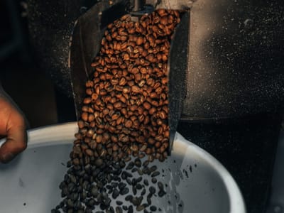Coffeerunt - Wholesale Coffee