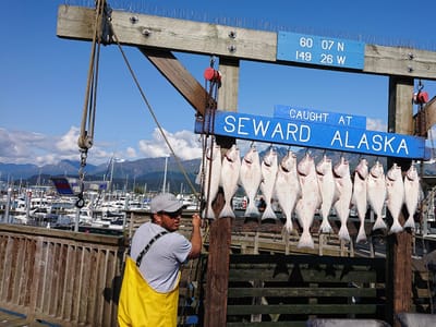 Coho Joe's Dockside Coffee