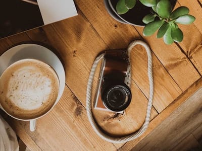 Cold Blooded Coffee & Roastery