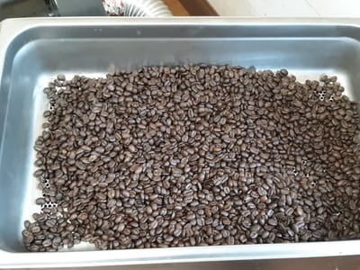 Cold Stream Coffee Company