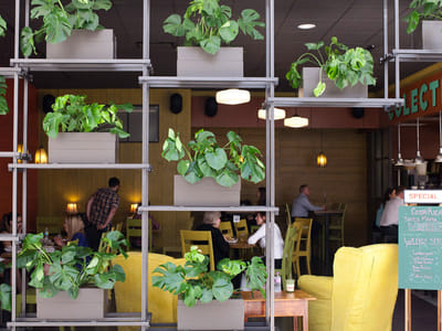 Colectivo Coffee at US Bank Center