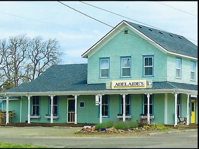 Colleen's Coffee House & Tapestry Rose Yarn Shop