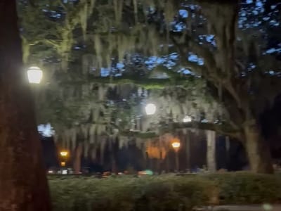 Collins Quarter at Forsyth