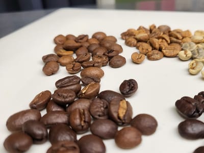 Colorado River Valley Roasters (Coffee Shop & Roasters)