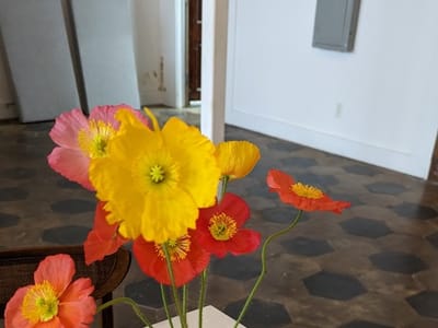 Comer Coffee Company