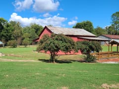 Comer Coffee Company