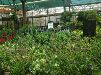 Community Gardens - Garden Center, Restaurant, Event Center, Sports Bar, Coffee & Gelato Shop, Rock Yard, & Landscaper