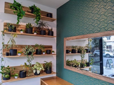 Compelling Coffee Roasters