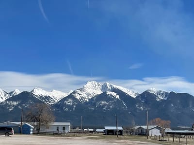 Connie's Countryside Cafe