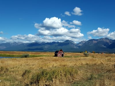 Connie's Countryside Cafe
