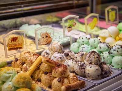 Constant Grind (Seminole Hard Rock Tampa)