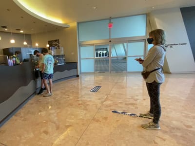 Contemporary Grounds