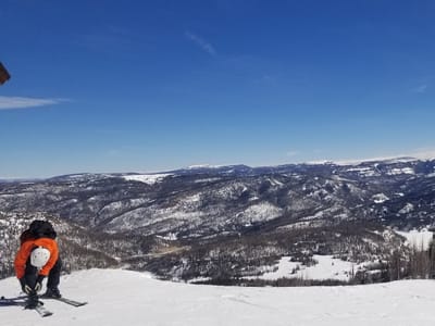 Continental Espresso Bar