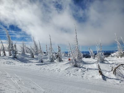 Continental Espresso Bar