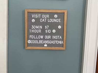 Cool Beans Cat Cafe