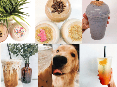 Corpus Christi Nutrition