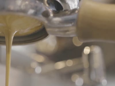 Corvus Coffee Roasters