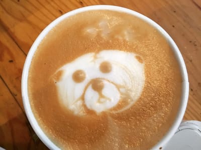 Cotati Coffee Company