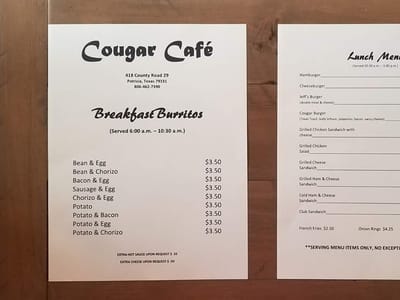 Cougar Cafe