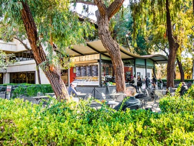 Coupa Cafe - Green Library