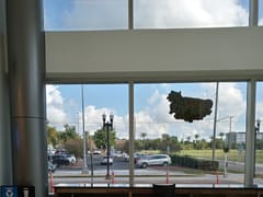 Crazy Beans Coffee Jacksonville