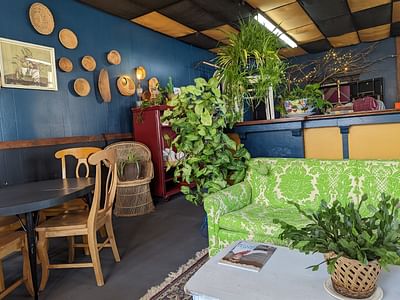 Crazy Chick's Corner