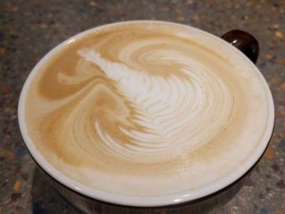 Crazy Mocha Coffee Co