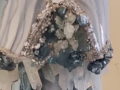 Cream & Cake Couture