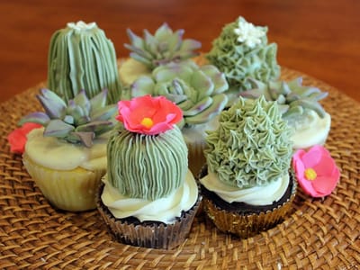 Cream & Cake Couture