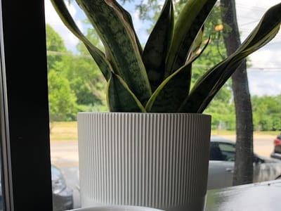 Cream + Sugar Coffeehouse