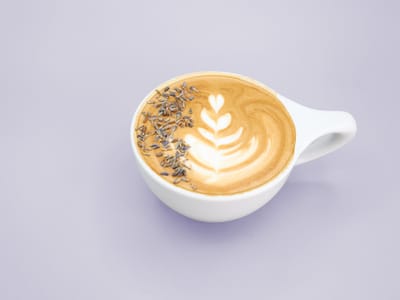 Creation Coffee
