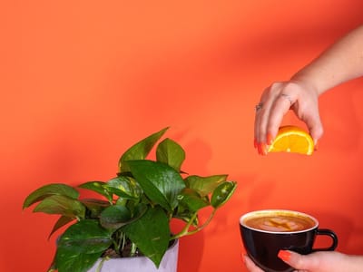 Creative Coffee & Supply