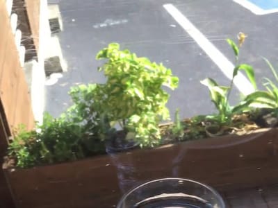 Crema Coffee Roasters