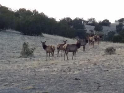 CrossBow Coffee Cafe