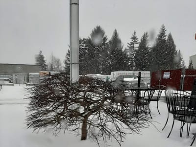 Cruisin Coffee Bakerview