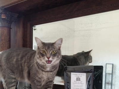 Cumberland Road Coffee Co.