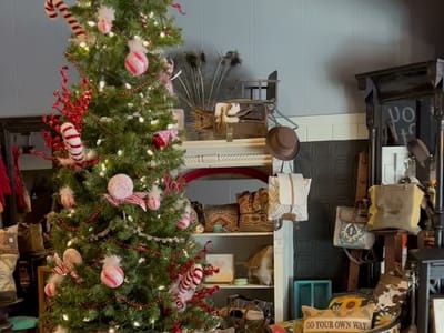 Curious Styles and Coffee Shop