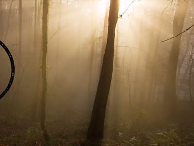 Cutters Point Coffee