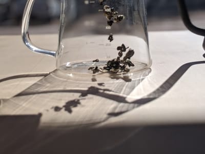 Cyclelogical Coffee & Gelato