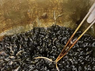 Da Cloud Boba Shoppe