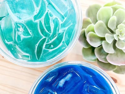 Daily Blend Nutrition