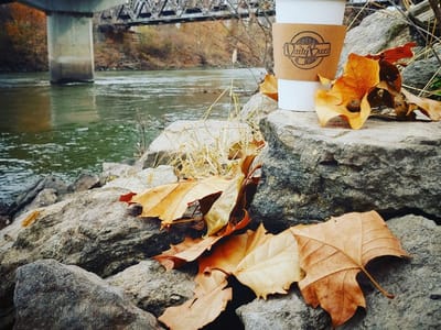 Daily Buzz Coffee Shop