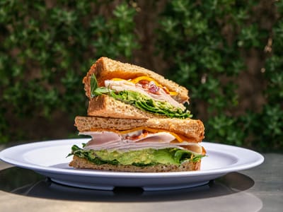 Daily Spark Coffee Roasters